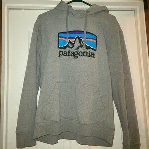 Patagonia hoodie